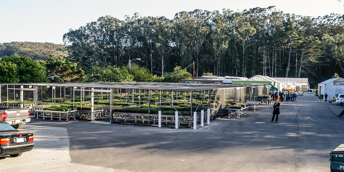 Presidio Native Plant Nursery