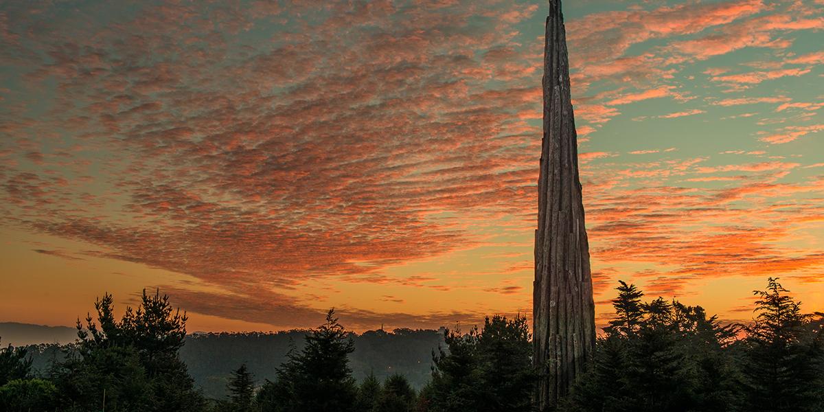 Andy Goldsworthy "Spire"