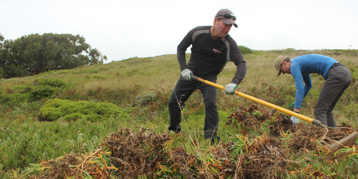 volunteers restore natural habitat using tools