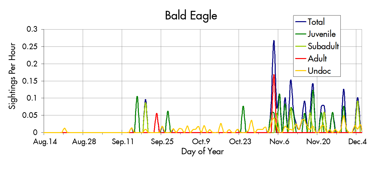 Bald Eagle migration trends at the Marin Headlands