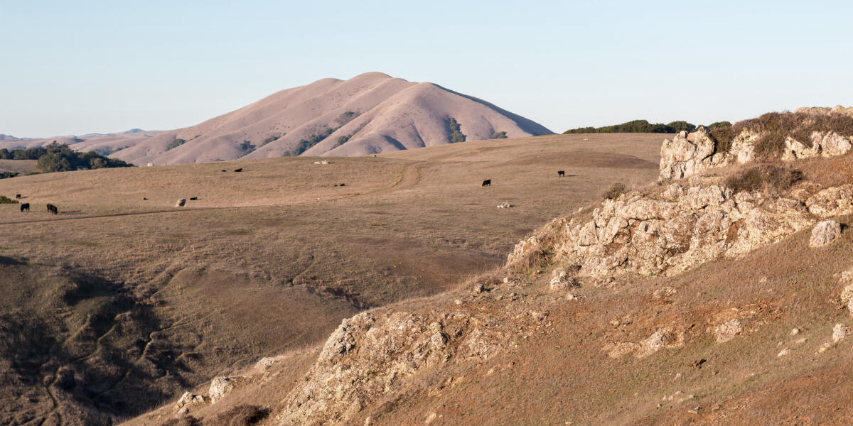 Bolinas Ridge 