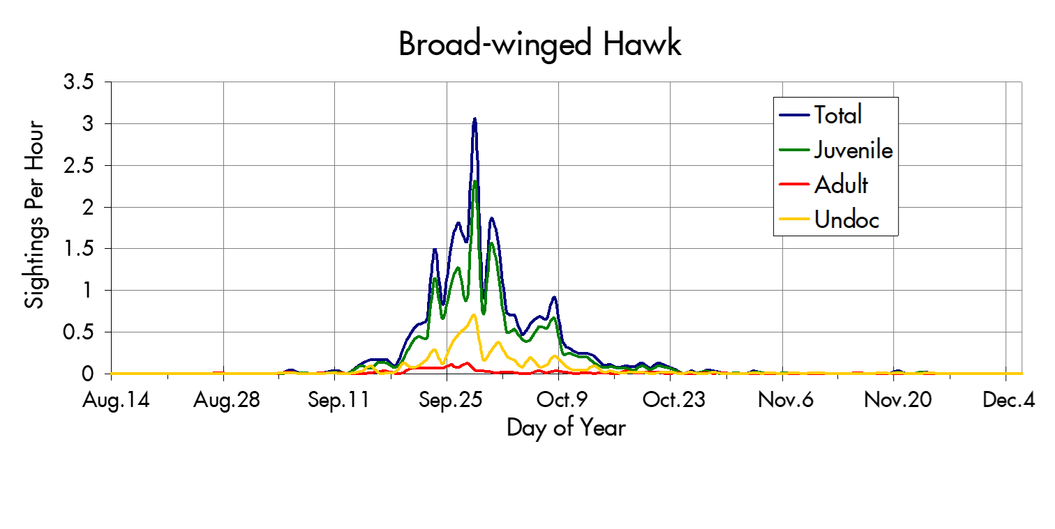 Broad-winged Hawk migration trends at the Marin Headlands