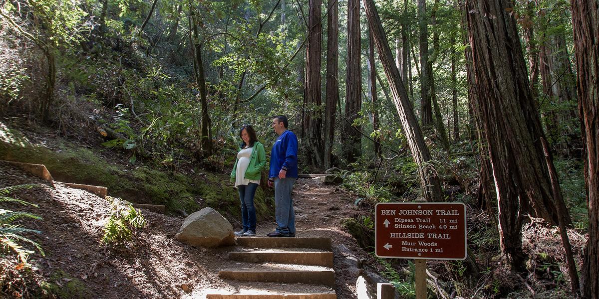 Ben Johnson Trail, Muir Woods