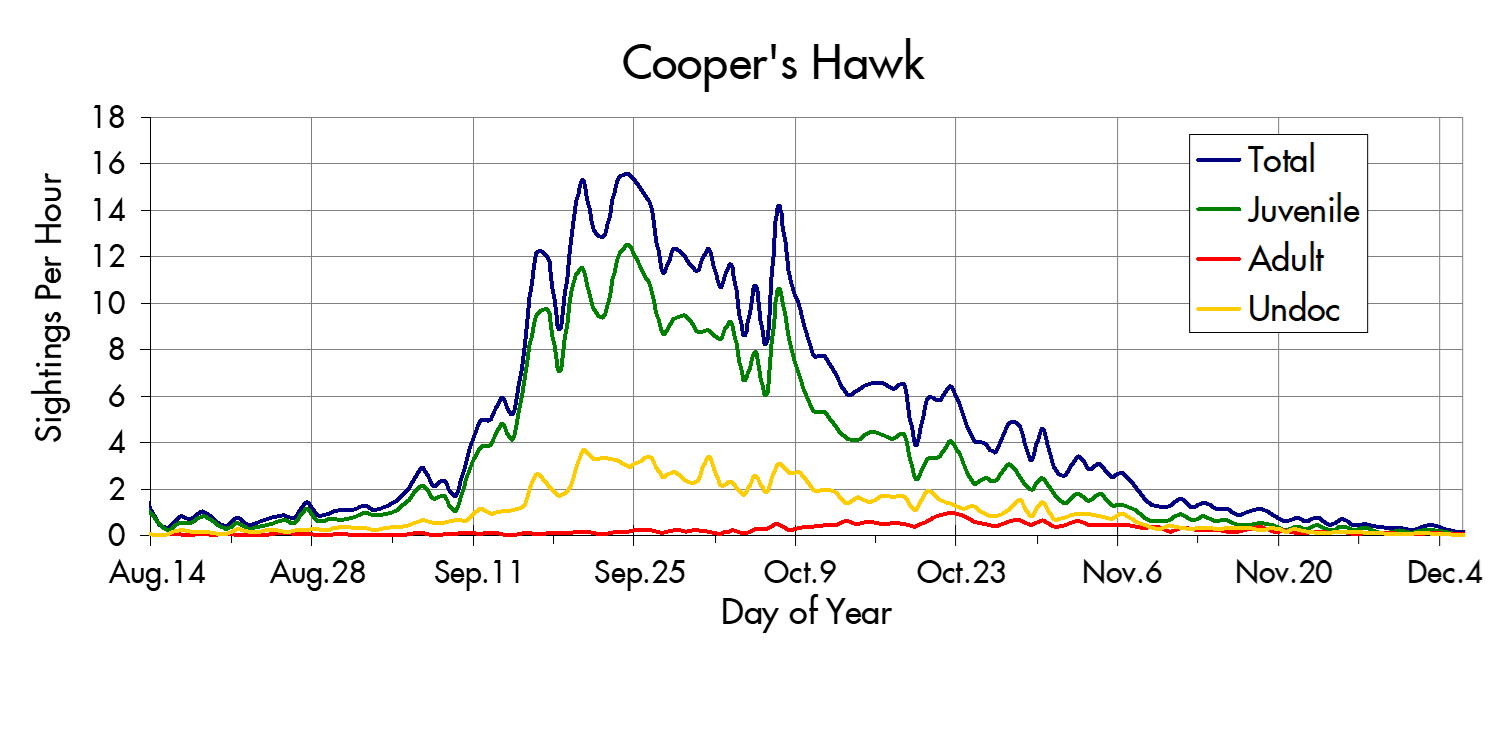 Cooper's Hawk migration trends at the Marin Headlands