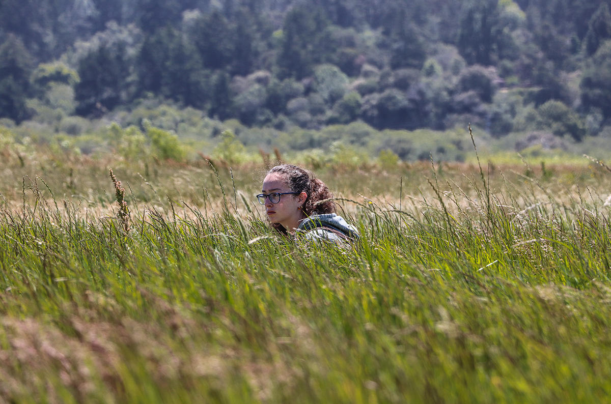 Youth photographers' images from Crissy Field Center programs during the summer of 2018.