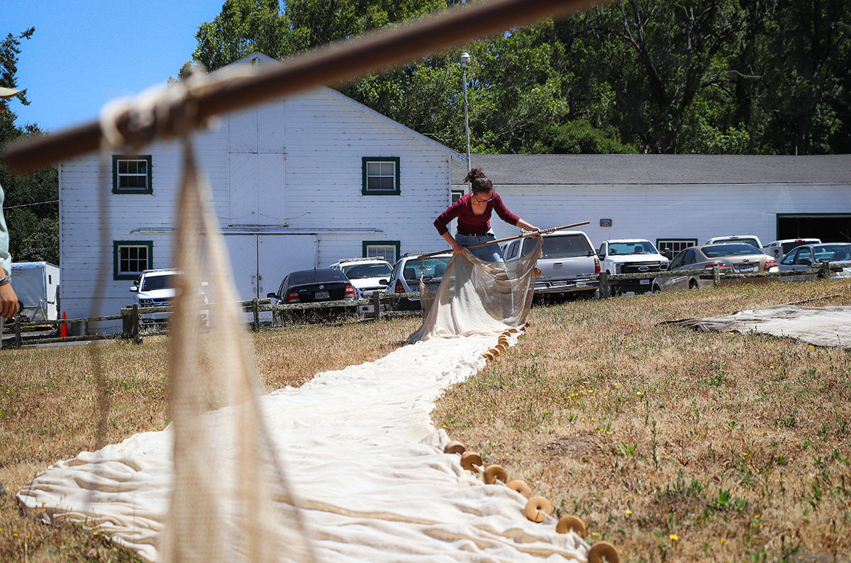 Youth photographers' images from Crissy Field Center programs during the summer of 2018.