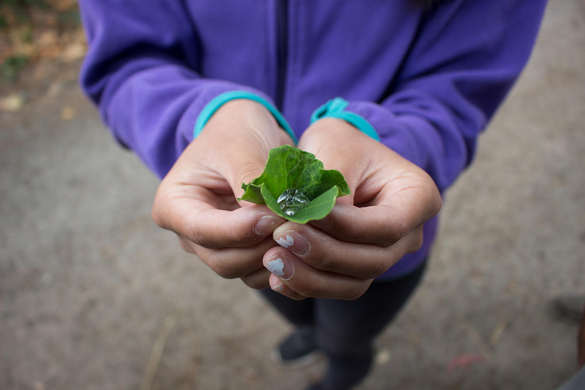 Youth photographers' images from Crissy Field Center programs during the summer of 2018.