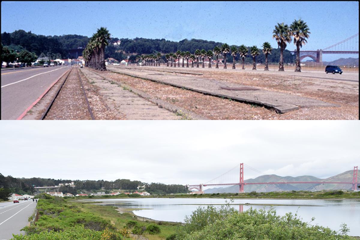 Crissy Field before and after restoration