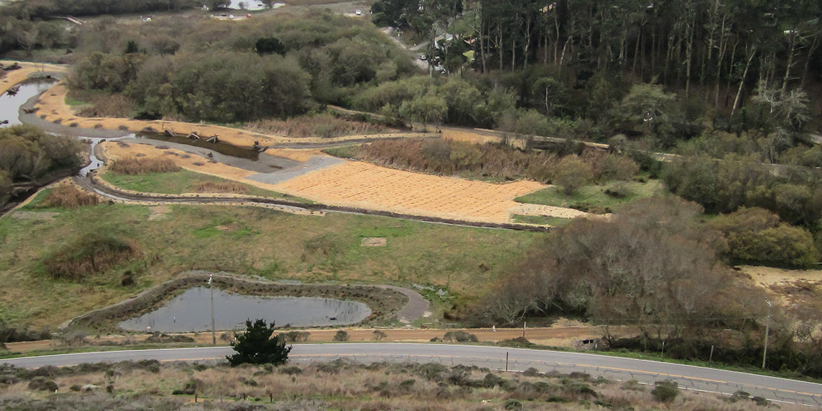 Jute soil clearance