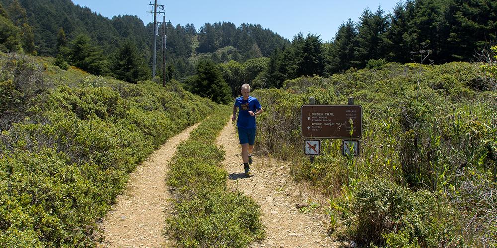 Dipsea trail (Mount Tamalpais)