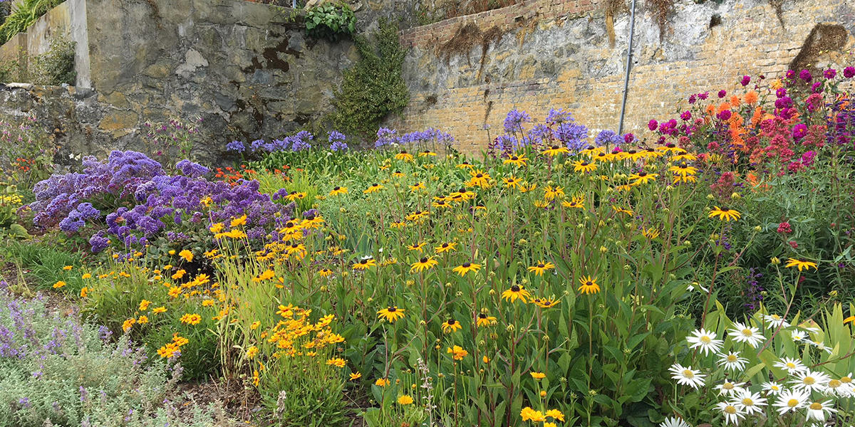 AZ Gardens, Drought Tolerant Gardens Tour