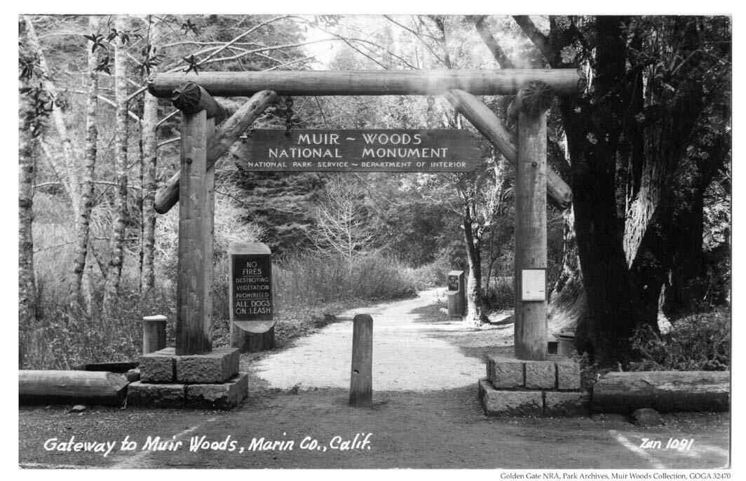 Gateway to Muir Woods