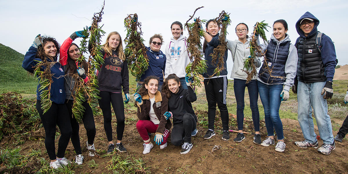 Volunteers at work