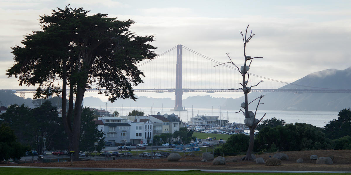 Tree with stones placed on branches with Golden Gate Bridge in background