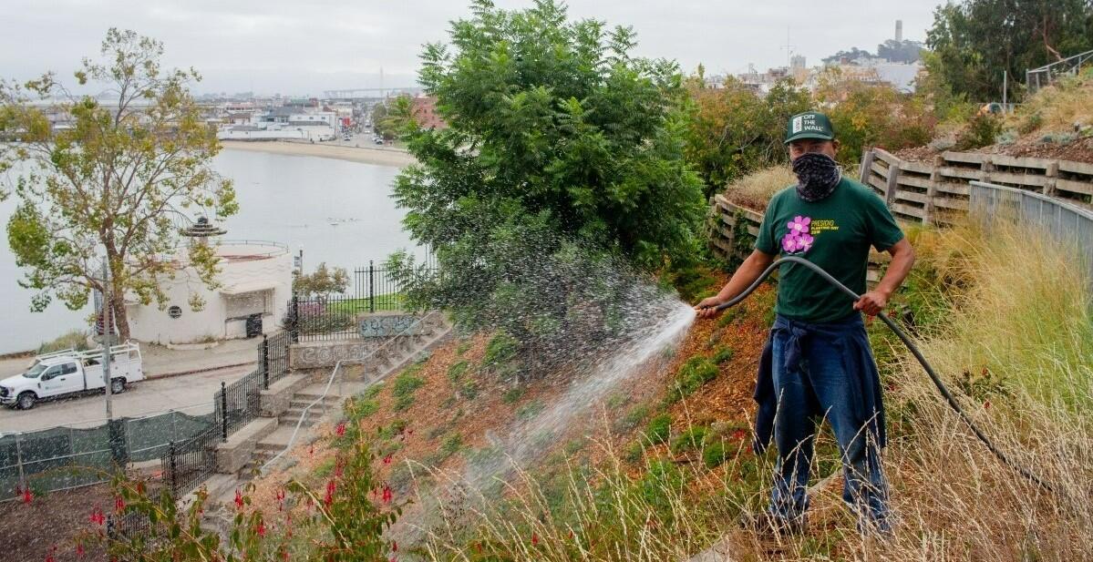 A volunteer waters plants at Black Point Historic Gardens