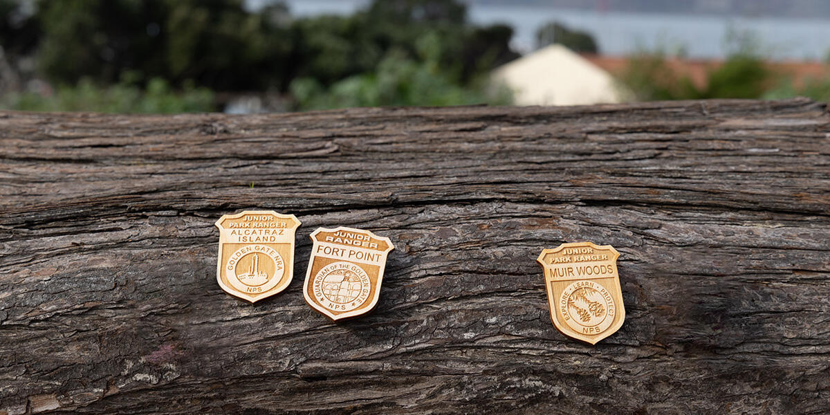 5 light-wood junior ranger badges are seen sitting on a log.