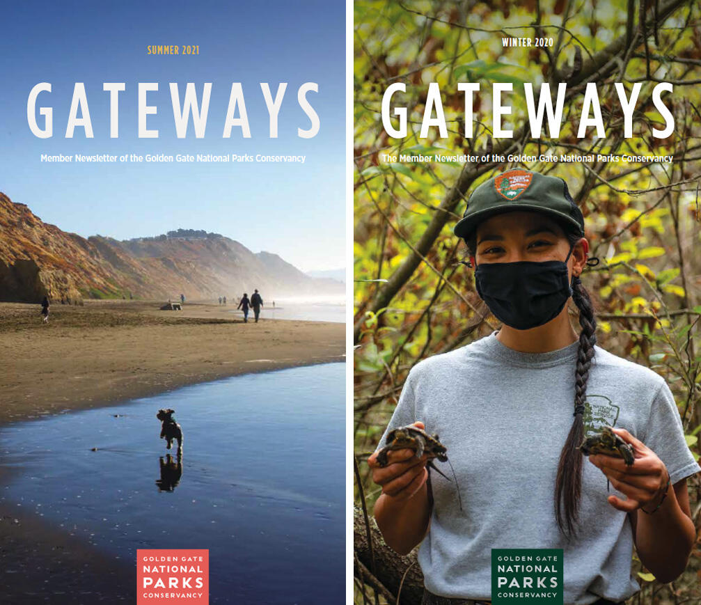 Colorful covers of Gateways newsletter featuring dogs at Fort Funston and turtle project. Covers of quarterly Gateways newsletter, covering national parks in San Francisco Bay Area.
