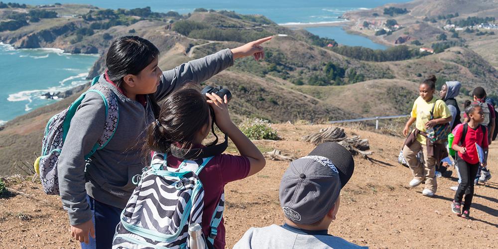 Golden Gate Raptor Program at Hawk Hill