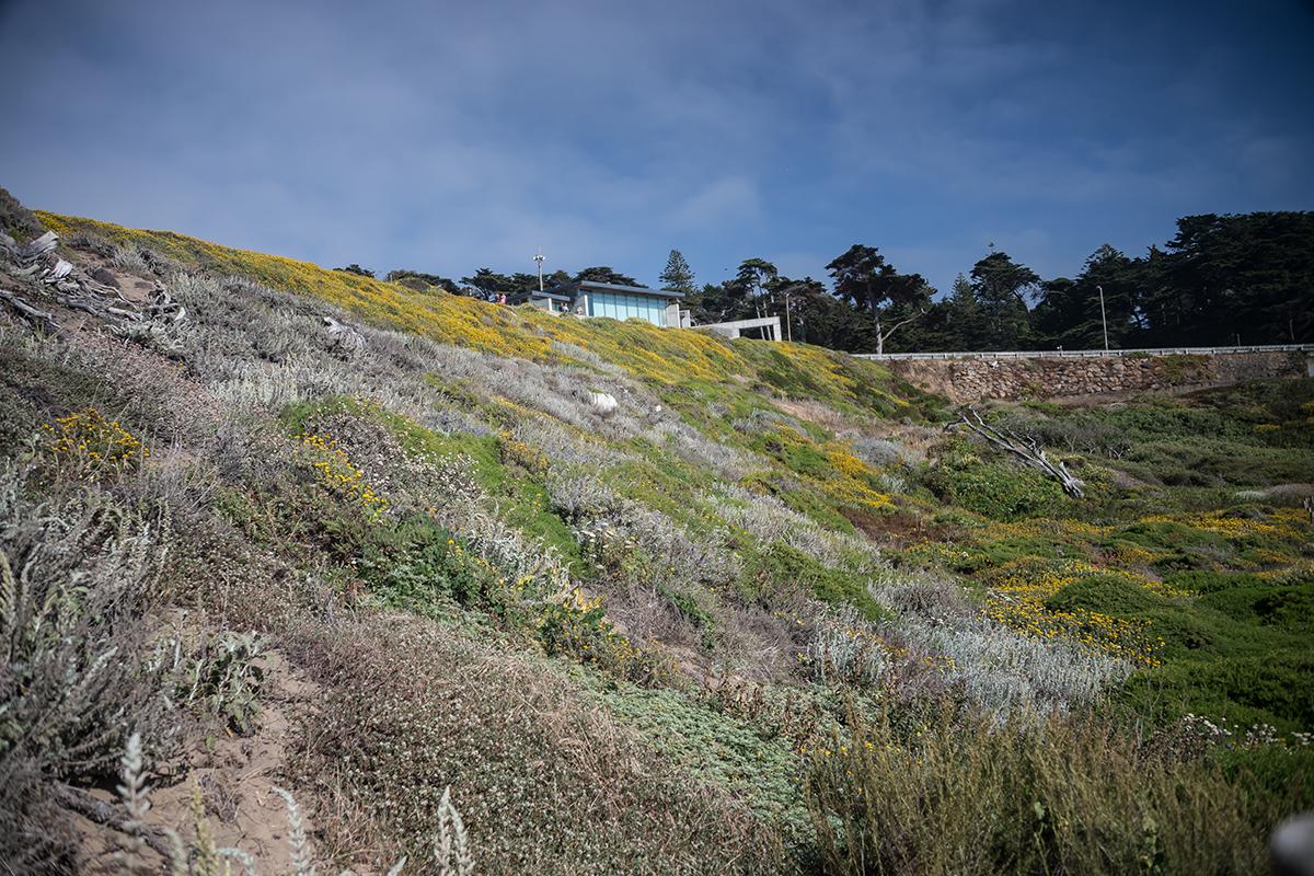 Lands End Lookout visitor center