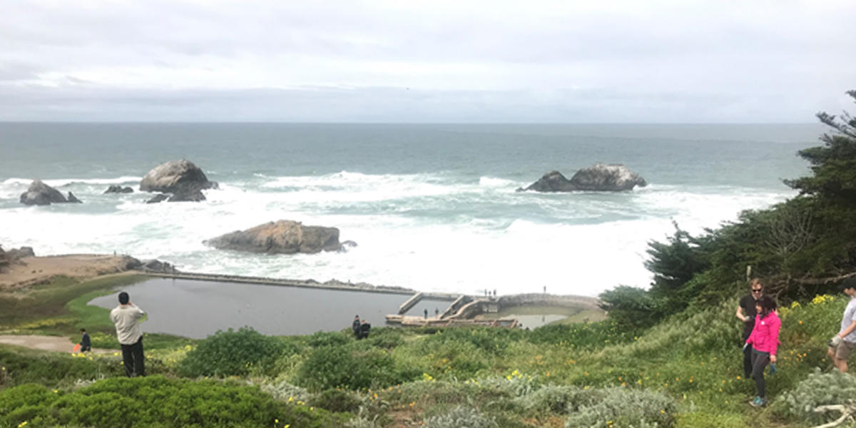 a hill of grass and flowers leads the ruins of Sutro Baths at Lands End overlooking the Pacific Ocean