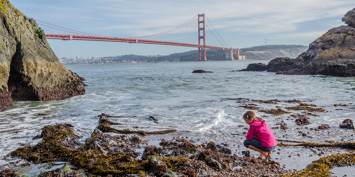 Someone tide-pooling in the Marin Headlands