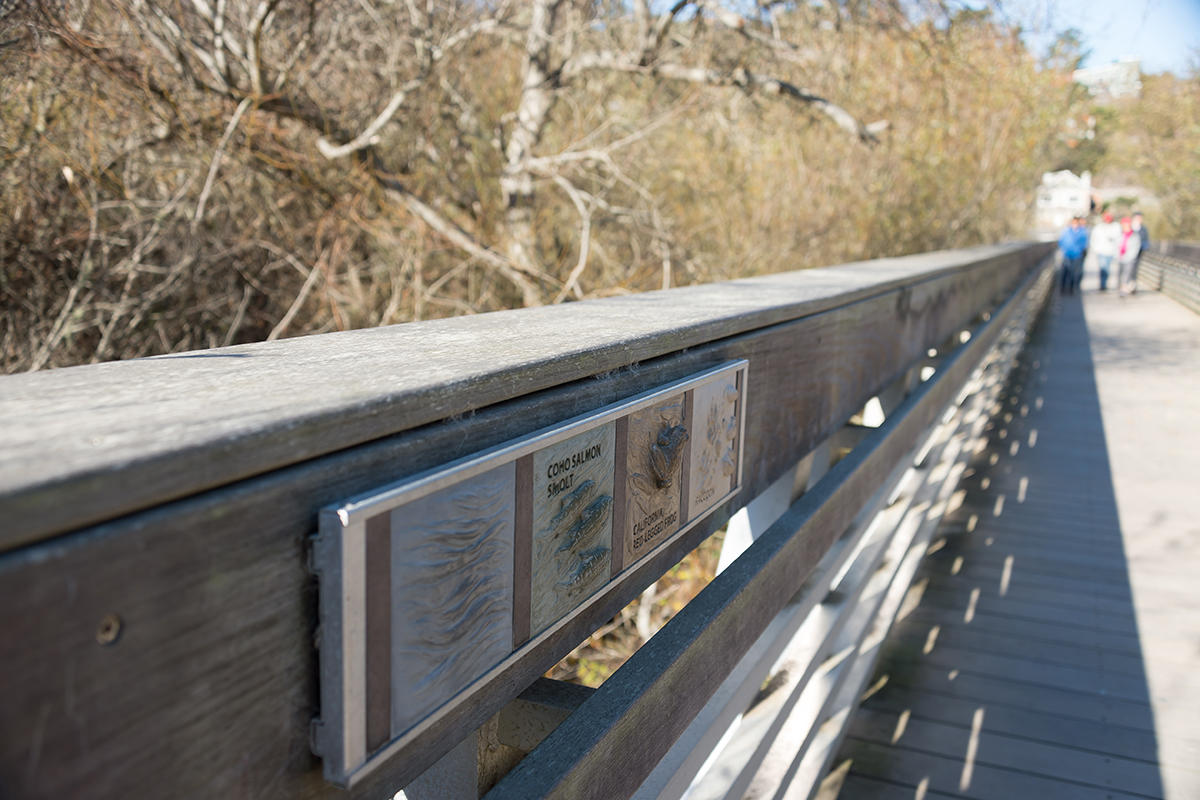 Muir Beach pedestrian bridge