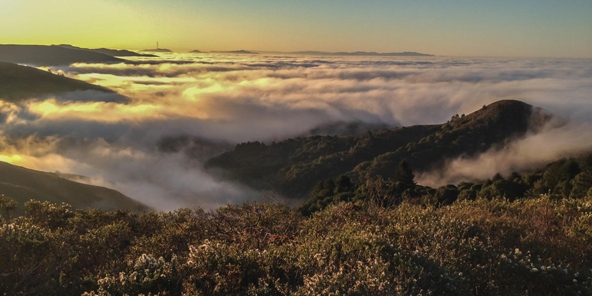 Mount Tamalpais State Park