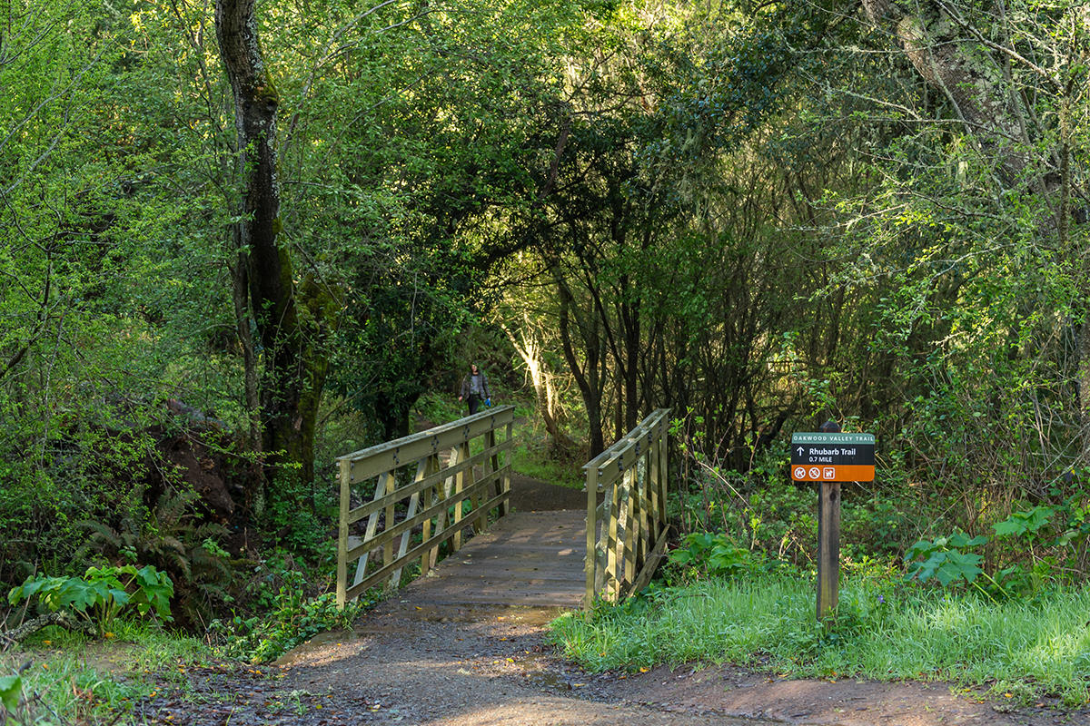 Trail in Oakwood Valley
