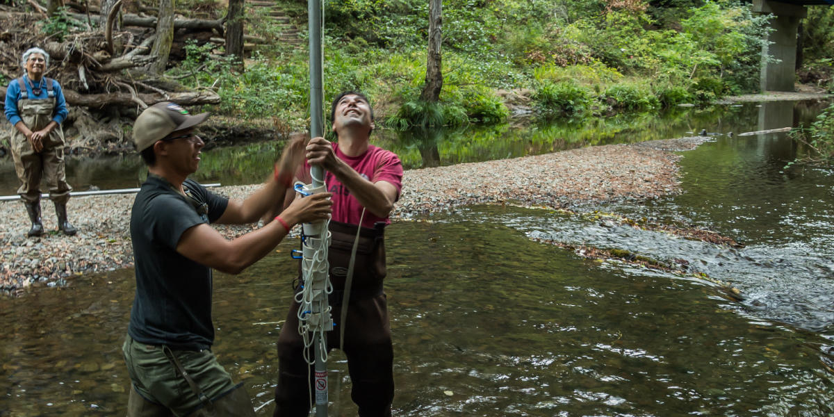 Bat monitoring in Marin County