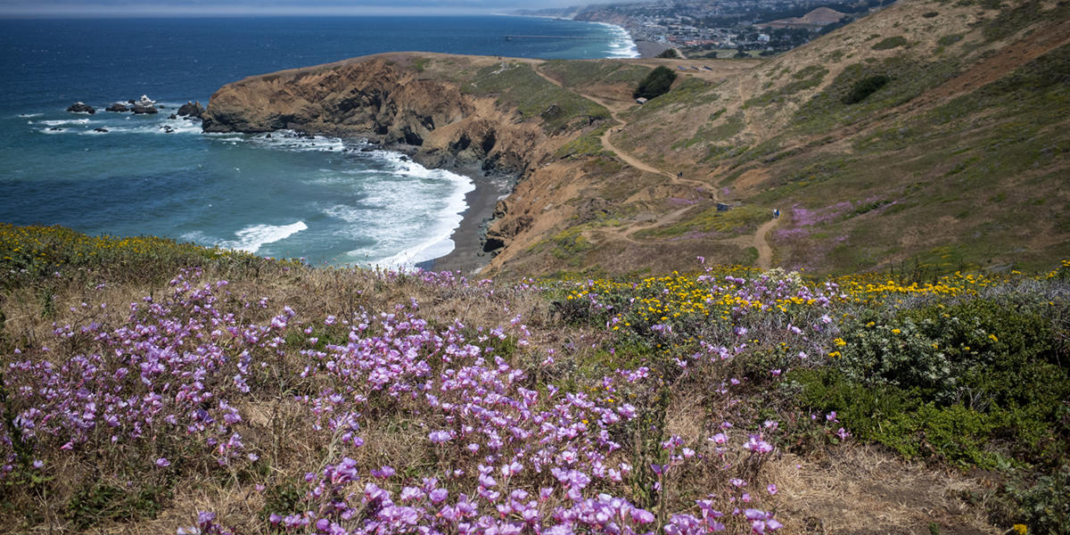 Mori Point