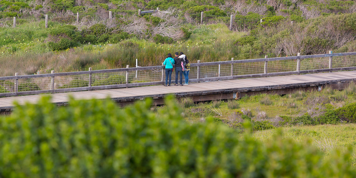 Hiking at Mori Point