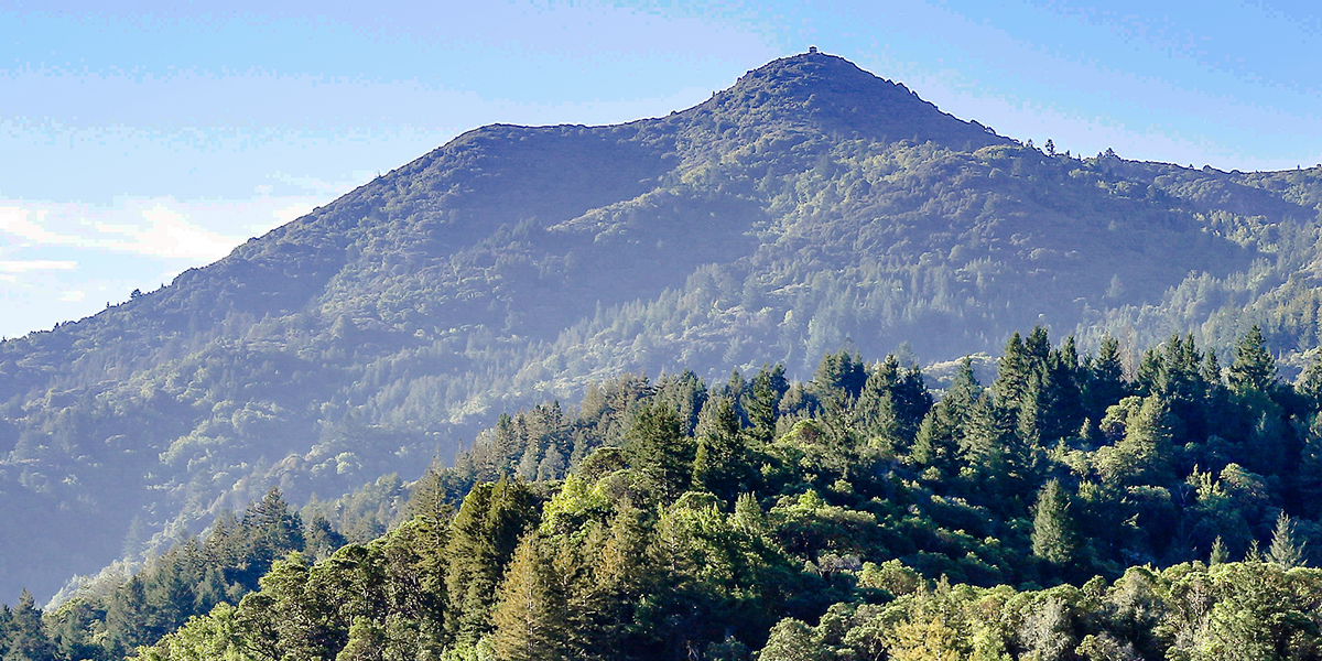 Mount Tamalpais