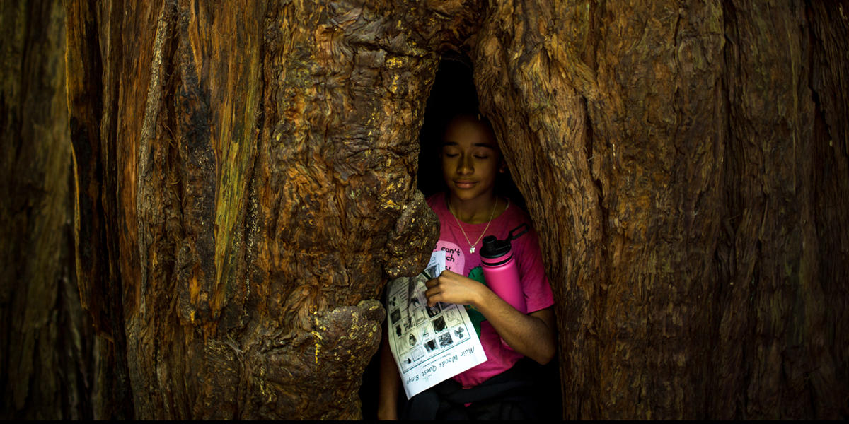 Muir Woods walk