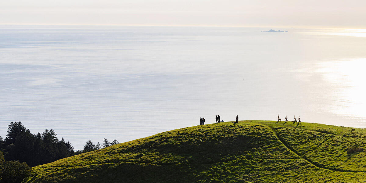 Groups of people in yoga poses and enjoying the scenery on Mt. Tam.