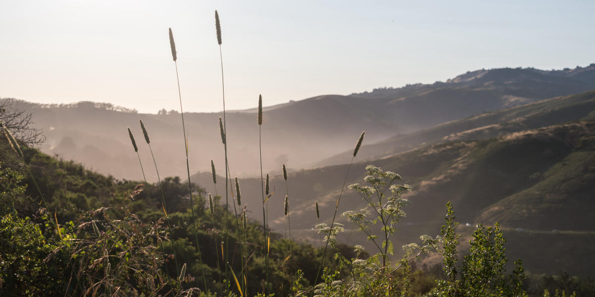 Sunset at Muir Beach