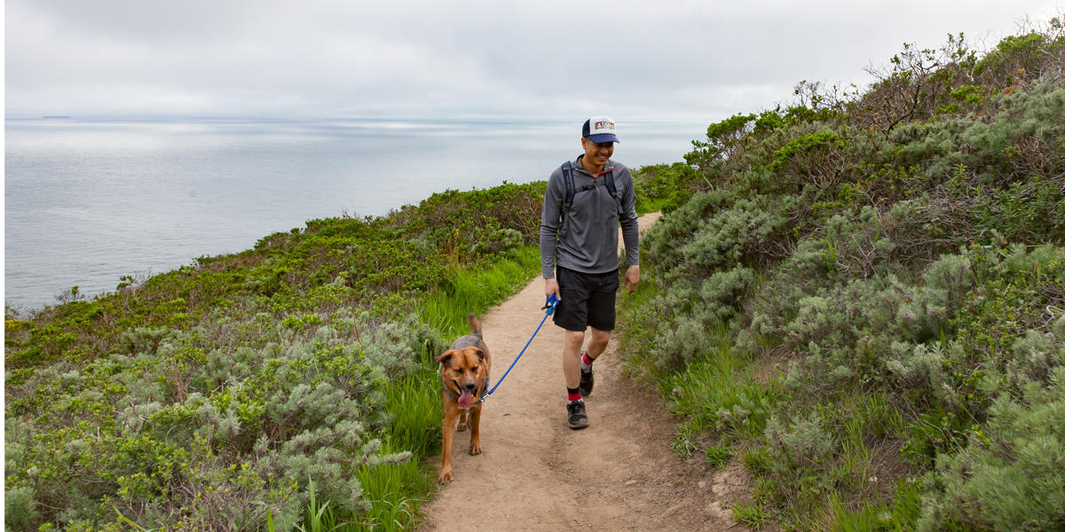 Hiking with dog