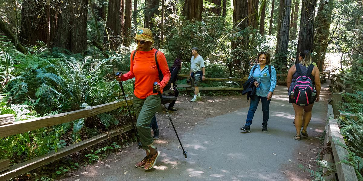 hiking at Muir Woods