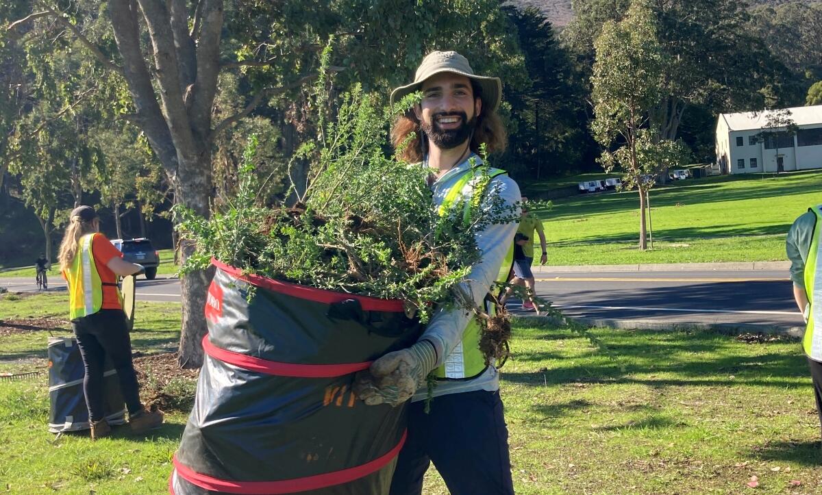 Volunteers removing invasive plants at the historic Fort Baker.