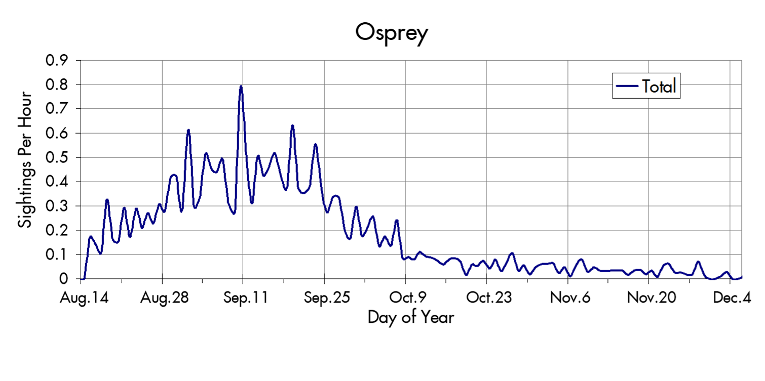 Osprey migration trends at the Marin Headlands
