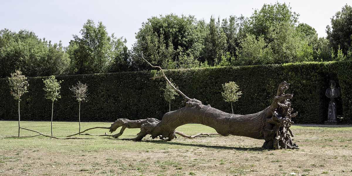 "La logica del vegetale (The Logic of the Vegetal)," 2012, Bronze and trees, by Giuseppe Penone..