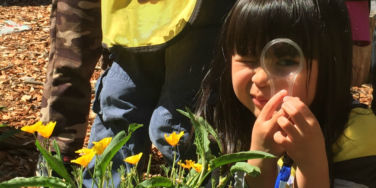A child looks through a magnifying glass at a nurseries education program.
