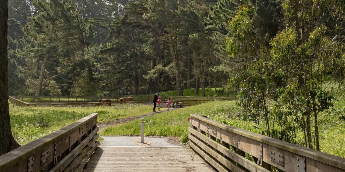 Presidio Promenade Trail