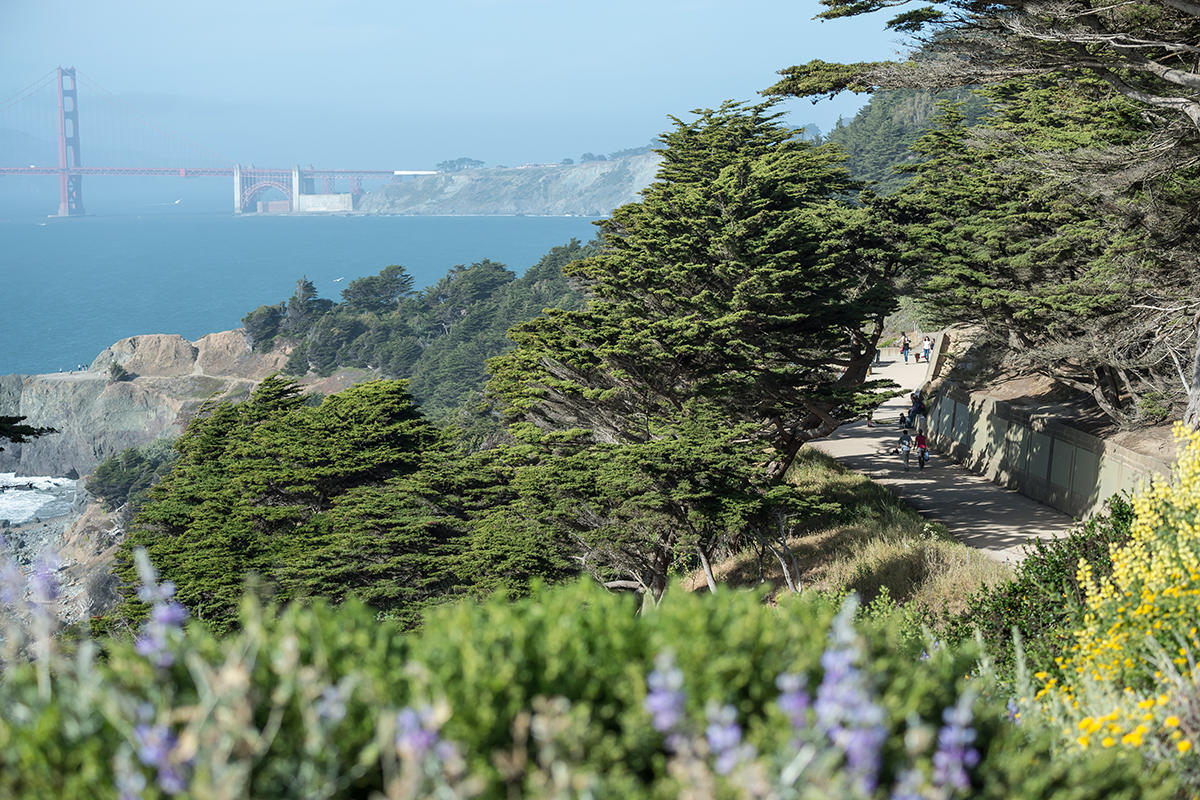 Coastal Trail at Lands End