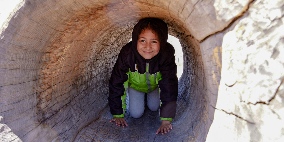 Child playing in Fallen Tree