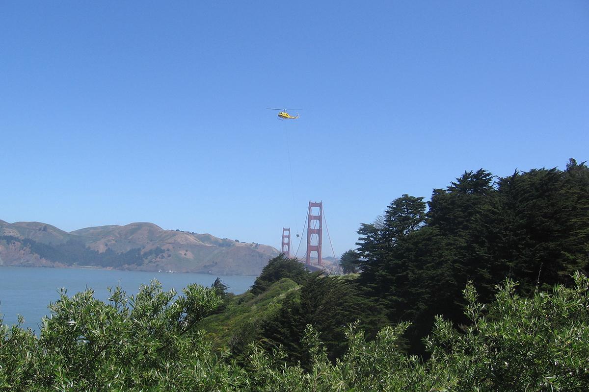 Helicopter removing trees at the Presidio bluffs