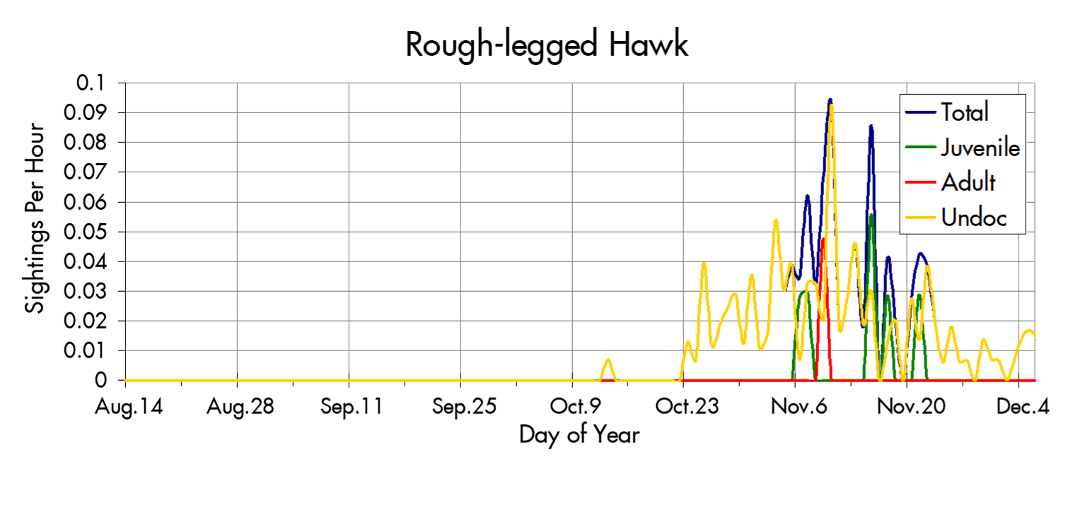 Rough-legged Hawk migration trends at the Marin Headlands