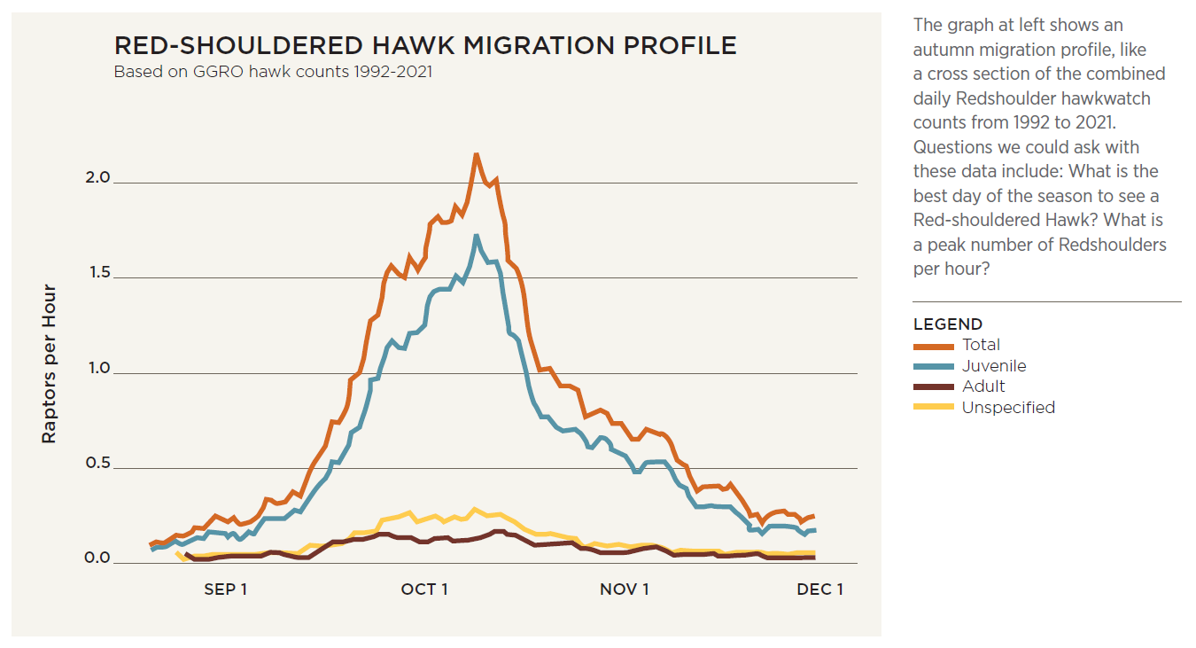 A graph of daily hawkwatch counts over 30 years, with four peaks, two taller peaks representing total and juvenile hawks, and two lower peaks showing adult and unspecified hawks.