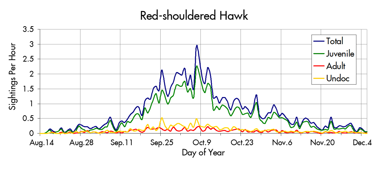 Red-shouldered Hawk migration trends at the Marin Headlands