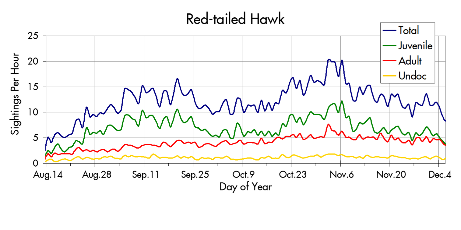 Red-tailed Hawk migration trends at the Marin Headlands