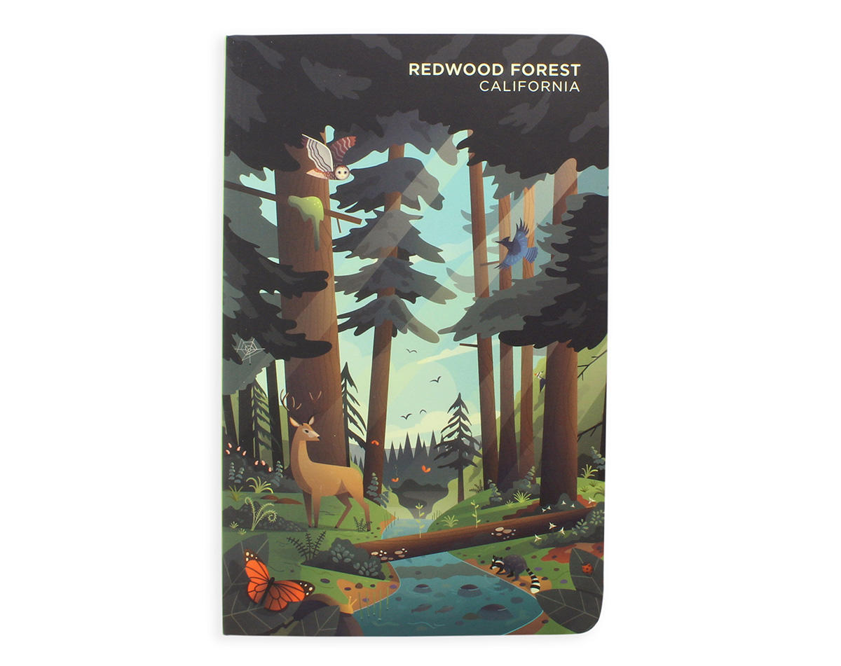 Redwood forest journal.